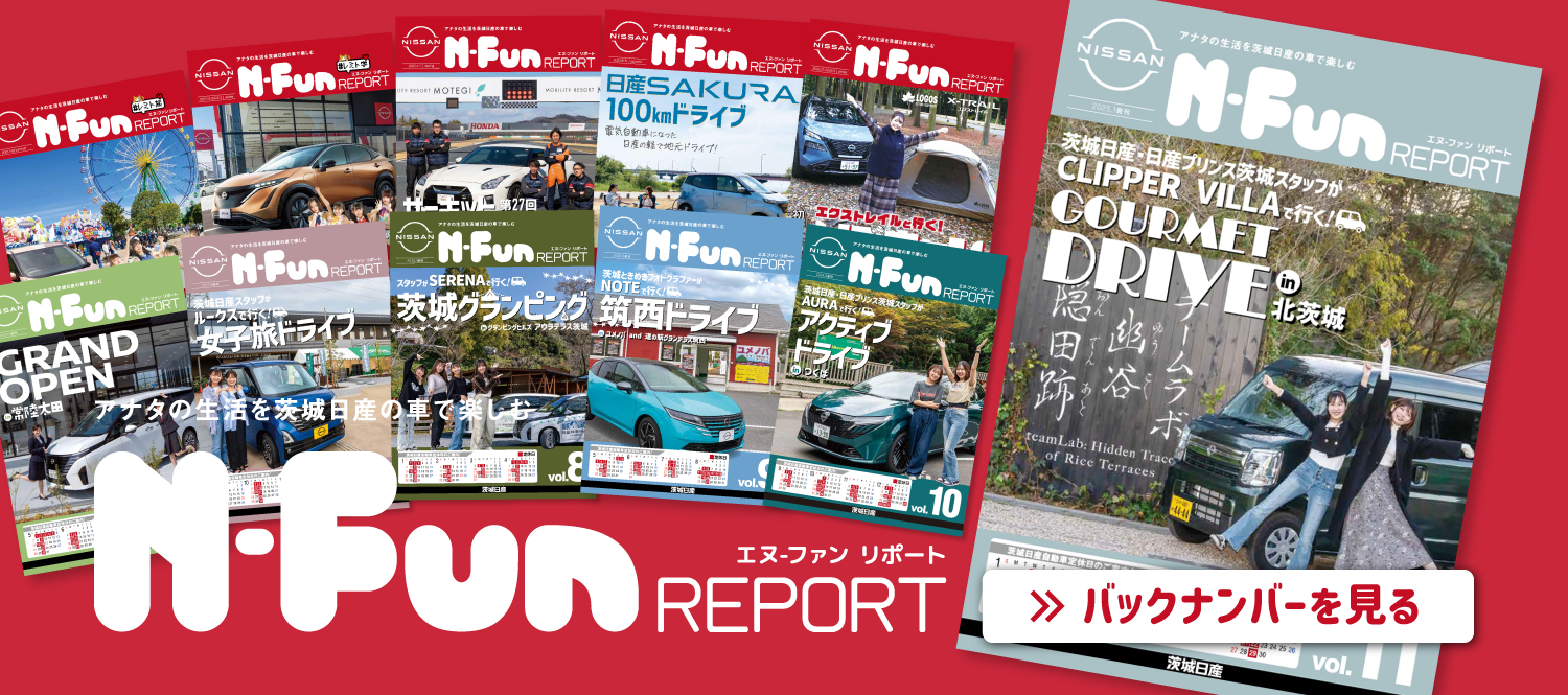 N-Fun REPORT