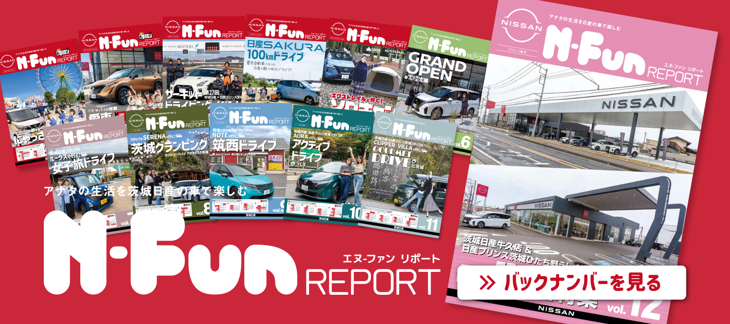 N-Fun REPORT